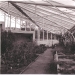 Alpinenhaus 4
